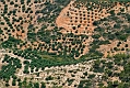 210_Kreta_w drodze na Vai